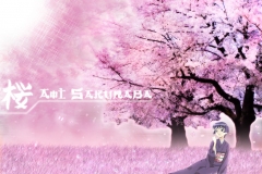 aoisakurabasenshi1