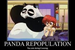 Panda-Repopulation