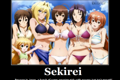 sekirei_motivational_by_akatsuki_zombie