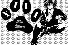 Black-Cat-Paw