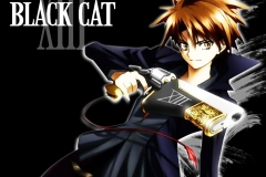 Black-Cat-Train-1