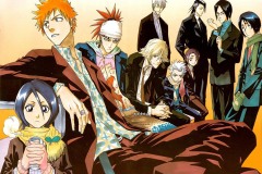 Bleach-Normal