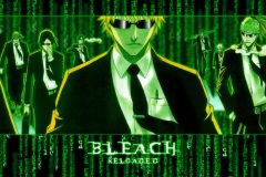 Bleach-Reloaded