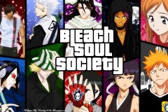 Bleach-Soul-Society-cover