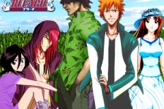 Bleach24