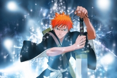 Bleach2452