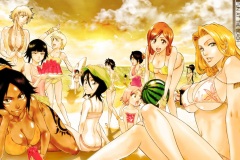 BleachWallGirls1v2_1024x819