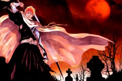 bleach22-1