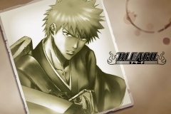 bleach4