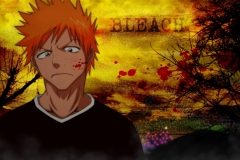 bleach452