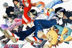 bleach_10