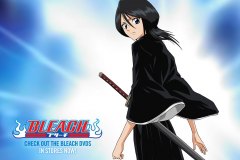 bleach_episodes_1-52_309_1280