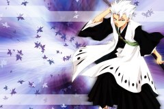 hitsugaya001