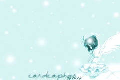 ccs_54_1024