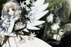 clover02-1280