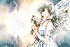 clover03-1280