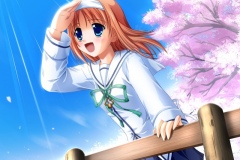 Da-Capo-80