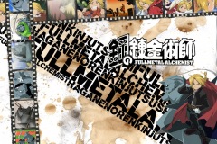 Full-Metal-Alchemist56