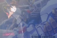 Gundam Seed - Kira and Freedom