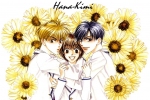 Hana Kimi
