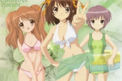 haruhi-Suzumiya-Summer