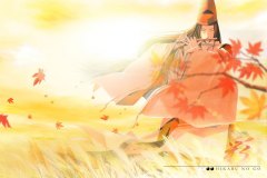 Hikaru-no-Go-Ruroshin