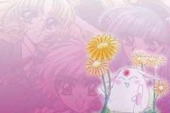 Magic Knight Rayearth08