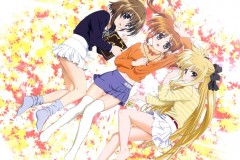Magical Girl Nanoha - Nanoha X Fate X Hayate