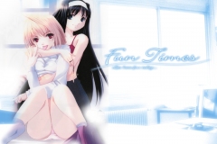 Shingetsutan-Tsukihime-559714