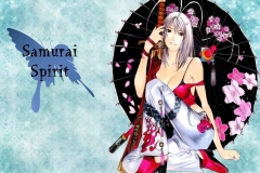 Tenjou-Tenge-Samurai-Spirit