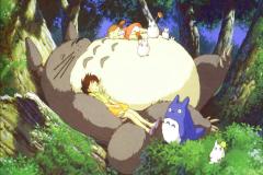 Totoro-All-Asleep