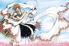 Tsubasa-Chronicle-Sakura