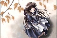 Misc - Autumn