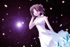 Misc - Fireflies