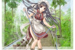 Misc - Gardening