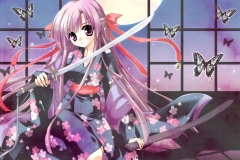 Misc - Kimono Sword girl