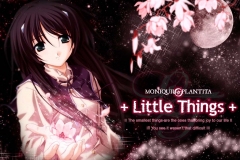 Misc - Little Things