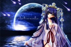 Misc - Maiden in the Moonlight