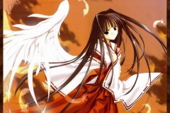 Misc - Miko Angel