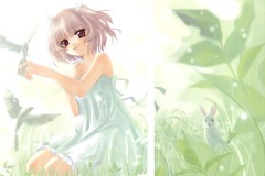 Misc - Morning nature