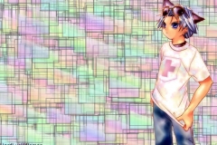Misc - Neko Boy