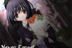 Misc - Never Forget