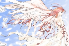 Misc - Open Wings