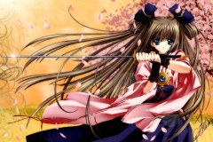 Misc - Samurai Miko