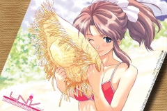 Misc - Summer Straw Hat