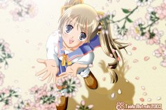Misc - blossom