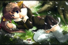 Misc - kitty 1