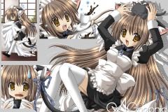 Misc - kitty 2