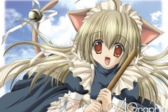 Misc - kitty 3