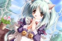 Misc - kitty 4